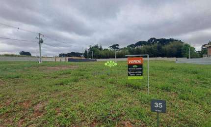 Terreno à venda, 250 m² por R$ 500.000,00 - Afonso Pena - São José dos Pinhais/PR