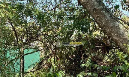 Terreno à venda, 450 m² por r$ 315.000,00 - jardim guanabara - macaé/rj