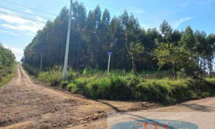 Fazenda à venda na Portão, Rincão do Cascalho, Portão