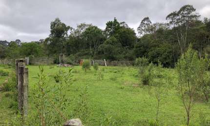 Chácara / sítio com 5 quartos à venda no Campo Largo da Roseira, São José dos Pinhais 