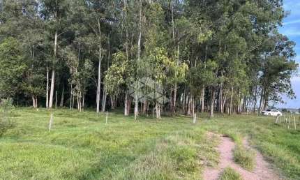 12 Hectares de terras, de boa qualidade no Douradilho