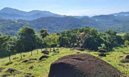 Terreno à venda, 400.700 m² - Estrada Paraty-cunha - Paraty/RJ