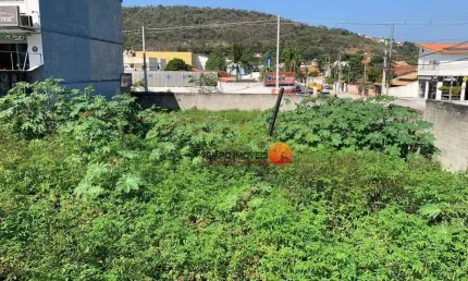 Terreno, 700 m² - venda por R$ 2.500.000,00 ou aluguel por R$ 20.150,00/mês - Itaipu - Niterói/RJ