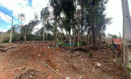Terreno à venda na Estrada Vicinal Tancredo Neves Feital, 1, Campo Verde, Ibiúna