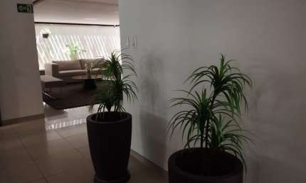 Flat com 1 quarto para alugar na Rua Baltazar Passos, 53, Boa Viagem, Recife