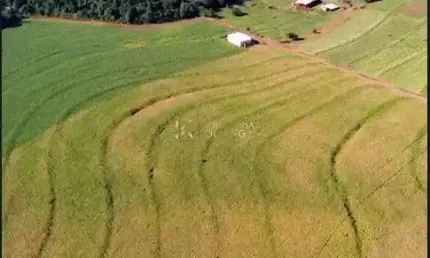 Fazenda à venda na Zona Rural, São Pedro do Iguaçu 