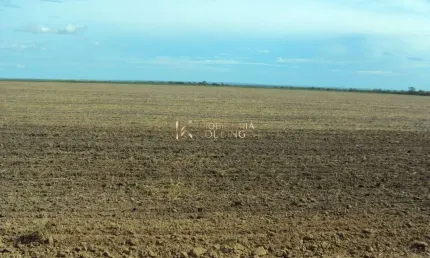 Fazenda à venda na região de balsas, com  250 hectares loreto - ma