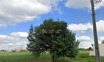 Lote disponível à venda, bairro pinheirinho, toledo - pr