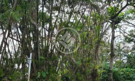 Terreno a venda oportunidade cond península ao lado do heliponto guarujá sp codigo: 115176