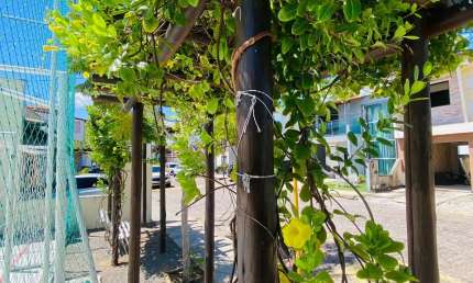 Terreno em condomínio fechado à venda na Avenida Prefeito Milton Dantas de Medeiros, 416, Parque das Nações, Parnamirim