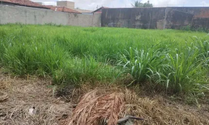 Terreno à venda, ÓTIMA LOCALIZAÇÃO, JARDIM AUTONOMISTA, CAMPO GRANDE - MS