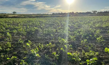 Fazenda à venda em Bodoquena, ZONA RURAL, BODOQUENA - MS