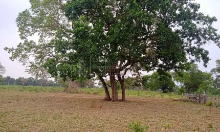 Fazenda à venda, 114.86 hectares, zona rural, nioaque - ms