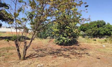 Terreno à venda, Vila Vilas Boas, CAMPO GRANDE - MS