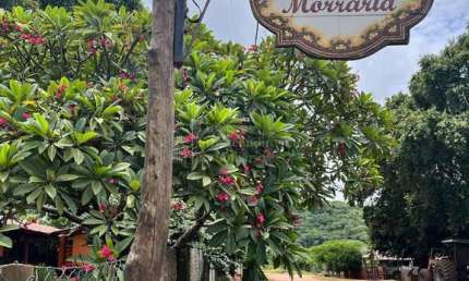 Pousada estilo fazenda, à venda, ZONA RURAL, BODOQUENA - MS