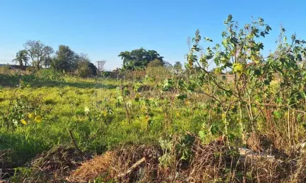 Área industrial à venda, giocondo orsi ii, campo grande - ms