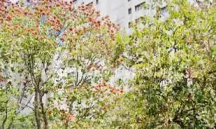 Apartamento com 4 quartos à venda na Avenida Princesa D'Oeste, 1295, Jardim Proença, Campinas, 156 m2 por R$ 870.000