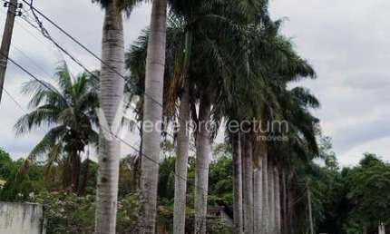 Chácara / sítio com 4 quartos à venda na Olyntho de Barros, 615, Residencial Burato, Campinas, 474 m2 por R$ 1.980.000