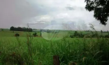 Fazenda à venda na Avenida Orlando Vedovello, s/n°, Parque da Represa, Paulínia por R$ 10.700.000