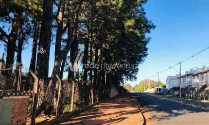 Casa com 6 quartos à venda na Rua Padre Domingos Giovanini, 480, Taquaral, Campinas, 586 m2 por R$ 8.500.000