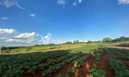 Terreno comercial à venda na Armando Botasso, s/nº, Betel, Paulínia por R$ 10.600.000
