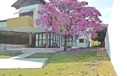 Casa com 4 quartos para alugar na rua nazaré paulista, 300, jardim das paineiras, campinas, 448 m2 por r$ 7.800