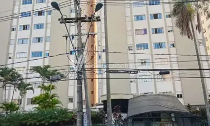 Apartamento com 3 quartos para alugar no jardim proença, campinas , 85 m2 por r$ 3.100