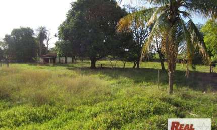 Terreno à venda, 4814 m² por R$ 350.000 - 500 metros da rodovia Eliezer