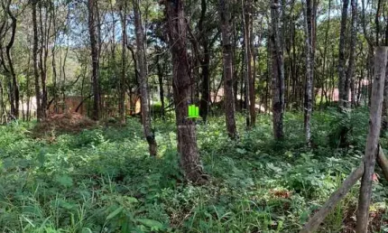 Terreno à venda na Alameda, 8, Palmital, Lagoa Santa por R$ 280.000