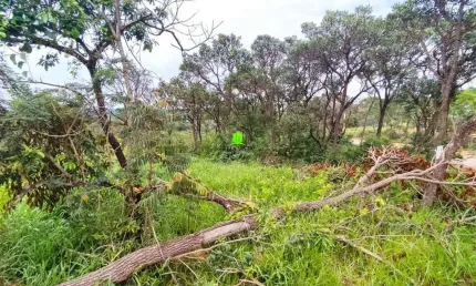 Terreno à venda na Pomar da Lagoa, Lote 03, 19, Lagoinha de Fora, Lagoa Santa por R$ 290.000