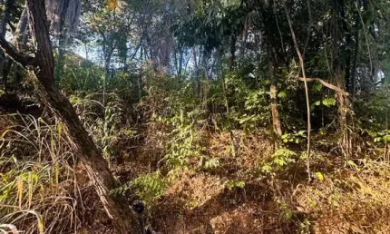 Terreno à venda na i, 16, sobradinho, lagoa santa por r$ 245.000
