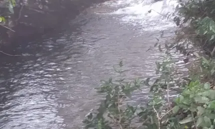 A&M IMOVEIS VENDE 27.64 HECTARES ENTRE SAO JOAO DA AIANCA E AUTO PARAISO GO