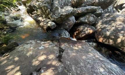 A&M IMOVEIS VENDE EXELENTE AREA RURAL NA CHAPADADO VEADEIRO