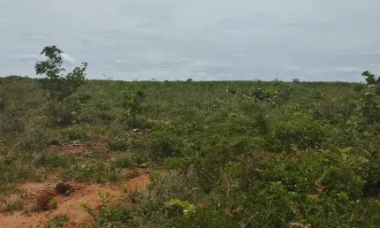 A&M IMOVEIS VENDE EXELENTE FAZENDA COM 329Hhectares em JOAO PINHEIRO