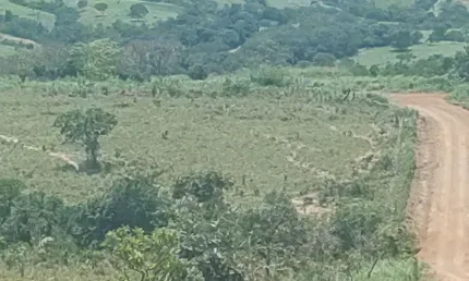 A&M IMOVEIS VENDE EXELENTE FAZENDA COM 52,59HECTARES