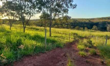 VENDO PROPRIEDADE RURAL - 33 HECTARES | REGIÃO DE SÃO GABRIEL /GO - BRASILINHA/GO