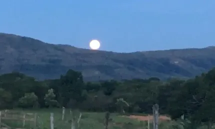 A&M IMOVEIS VENDE EXELENTE FAZENDA COM 108 HECTARES EM BURITIS MG