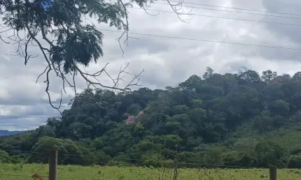 A&M IMOVEIS VENDE FAZENDA NO BOQUEIRAO NA FERCAL COM 101 HECTARES