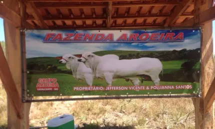 A&M IMOVEIS VENDE EXELENTE FAZENDA COM 310.7HECTARES