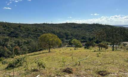 A&M IMOVEIS Vende exelente Fazenda a 39km de Luziânia - 64,67ha -