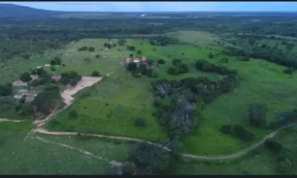 A&m IMOVEIS VENDE FAZENDA GABRIELA, MELHOR DA REGIÃO DE ARINOS-MG