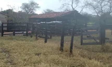 A&M IMOVEIS VENDE BELISSIMA FAZENDA COM 28ALQUEIRES A 48KM DE ALVORADA DO NORTE