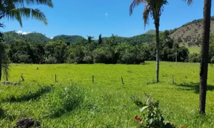 Fazenda à venda na Praça José Feliciano, Zona Rural, Cavalcante