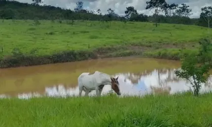 A&m Imoveis vende fazenda em sobradinho dos melos, região do Paranoá-DF 60 hectares