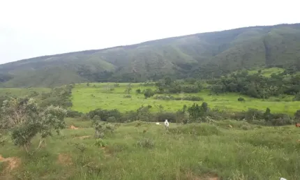 A&m imoveis vende otima esta fazenda com 68hectares em sao joao da aliança