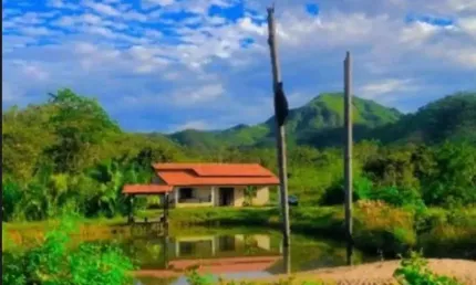A&m imoveis vende exelente fazenda com 65 hectares muita agua em minaçu