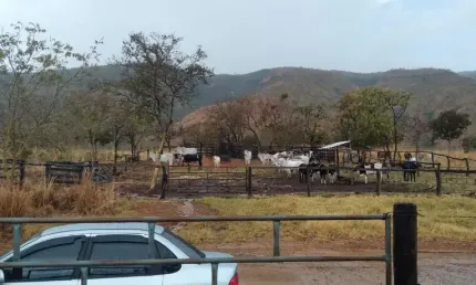 A&m imoveis vende uma belissima fazenda  a 42km de alvorada do norte goias