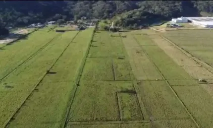 Terreno à venda, 66000 m² por R$ 6.500.000,00 - São Roque - Itajaí/SC
