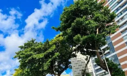 Apartamento - alto padrão, para aluguel em salvador/ba