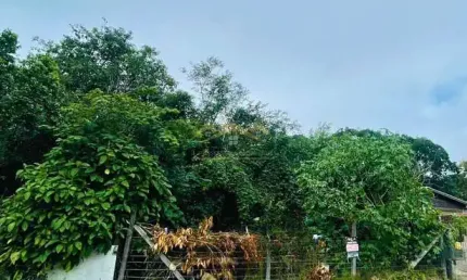 Terreno à venda na Rua Fredolino Schmitz, Parque Olinda, Gravataí